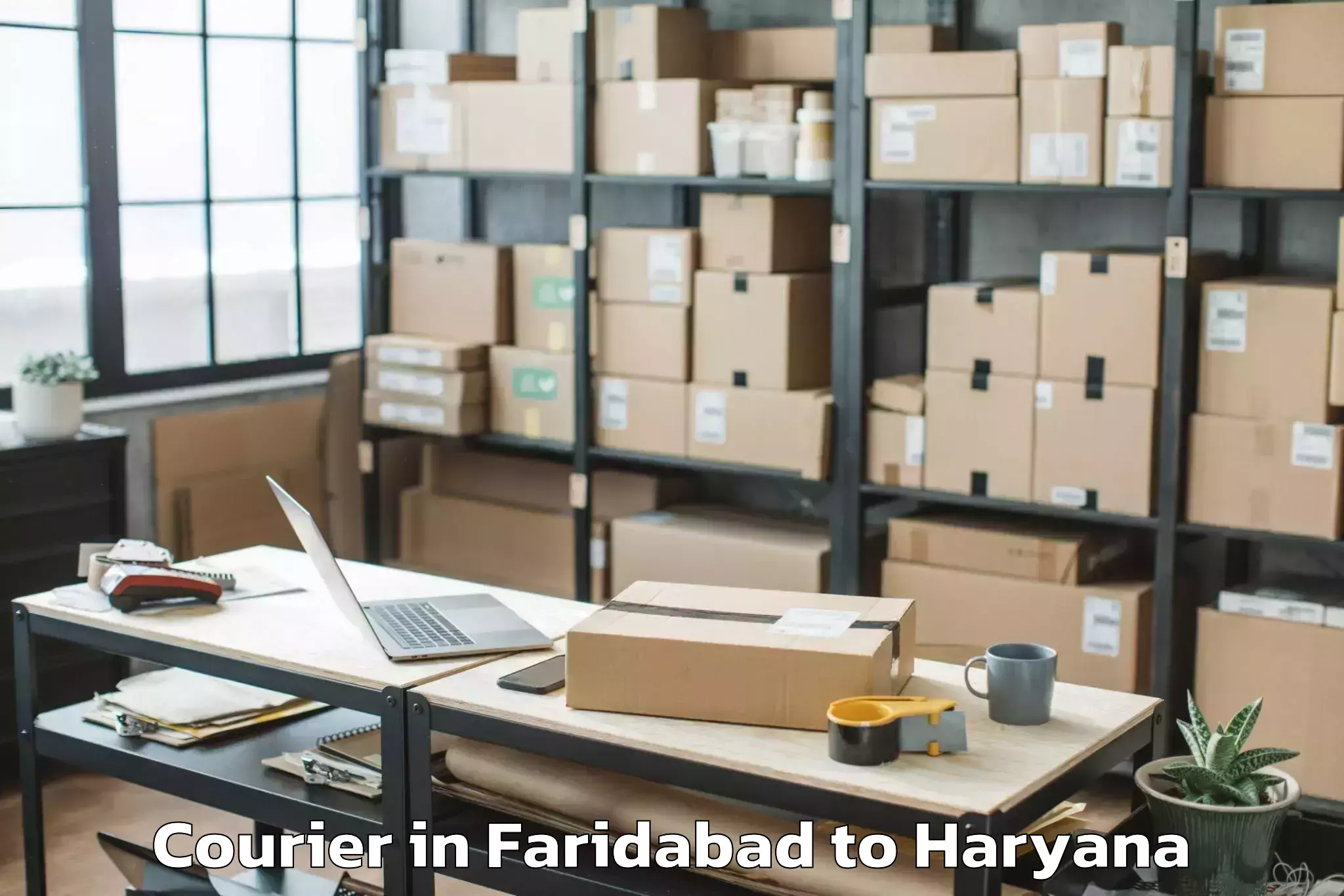 Professional Faridabad to Hathin Courier